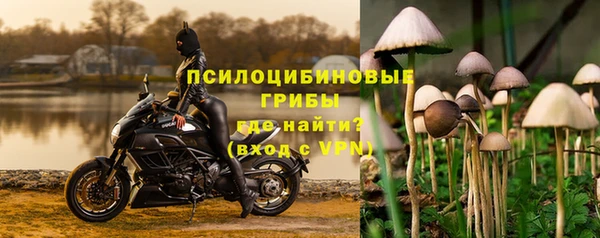 mdpv Алзамай