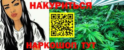 сатива Краснодар