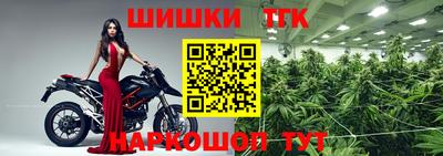 сатива Краснодар