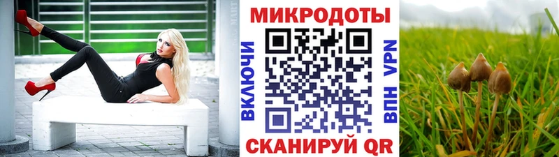 Псилоцибиновые грибы прущие грибы  сколько стоит  MEGA   Геленджик 